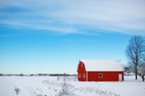 rural